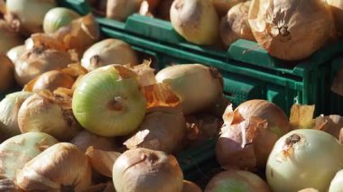 Piyasa ortamında taze hasat edilmiş soğanların canlı görüntüsünü keşfedin..