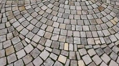 Etrafı yeşilliklerle çevrili bir kaldırım taşı yolunun ayrıntılı modellerini araştırın..