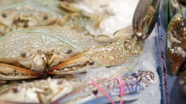 Canlı yengeçler ve çeşitli kabuklu deniz hayvanları yoğun bir pazarda buzun üzerinde dizilmiş..