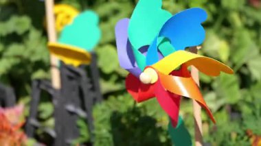 Rüzgâr döndürücüler güneşli bahçeye canlı renkler ve cazibe katar..