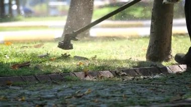 Bahçıvan güneşli bir park alanında çim biçme makinesi kullanıyor..