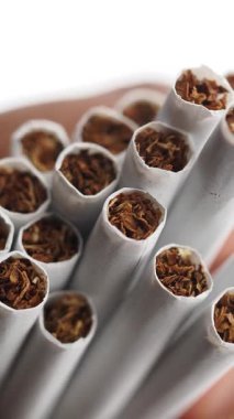 Taze tütün içeriğini açıkça gösteren sarılmış sigaraların yakın görüntüsü.