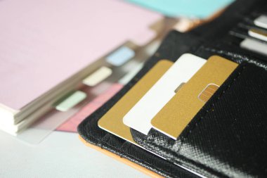 Numerous cards and documents are neatly arranged in a wallet.