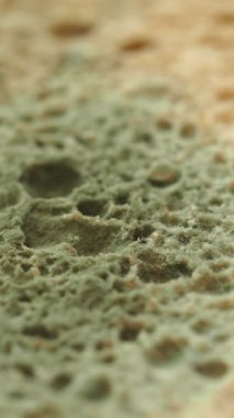 Tabaktaki küf ekmeğine yaklaş. .