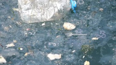 Kıyı sularında çöp ve denizanaları bir arada yaşayarak, kirlilik sorunlarını vurguluyor.