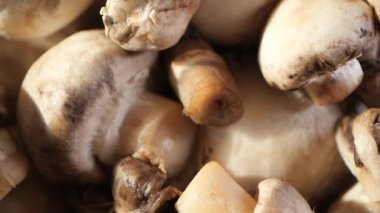 Pazarda toplanan taze mantarların canlı renklerinin tadını çıkarın..