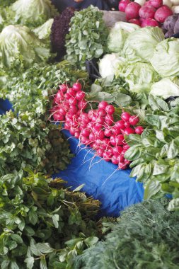 Yerel bir pazarda renkli taze sebze ve turp dizisi.