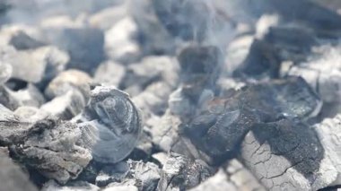 Kül ve kömürleşmiş odun yanarken duman sessizce yukarı doğru sürükleniyor..