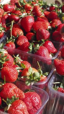 Tedarikçiler hareketli bir öğleden sonra pazarında canlı çilekler sergiliyor.