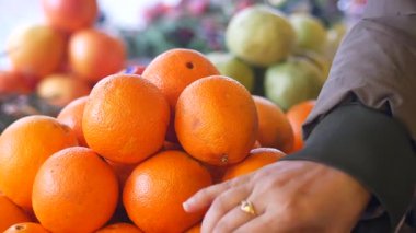 Markette canlı bir meyve sergisinden taze portakal toplayan kişi.