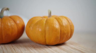 Renkli balkabakları, ahşap bir masayı sıcacık bir şekilde dekore eder..