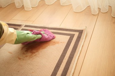 Bir insan lekeli bir halıyı bez ve lastik eldivenlerle temizler..