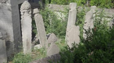 Hindi İstanbul 11 Haziran 2025. İhmal edilmiş bir mezarlıkta eski mezar taşları yoğun bitki örtüsüyle çevrilidir..