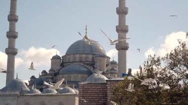 Gökyüzünün altında görkemli bir cami. Kuşlar havada süzülüyor..