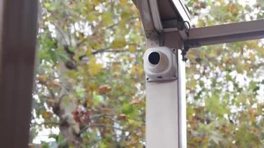 Renkli ağaçlarla çevrili bir parka gözetleme ekipmanı yerleştirmek.