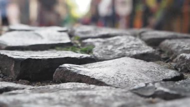 Antik bir cadde yolundaki sert taşların yakından görünüşü.