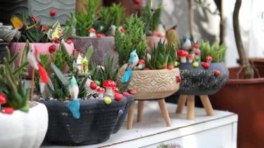 Yeşillik ve oyuncu dekorasyonlarla dolu eşsiz bahçe kapları sergileniyor.