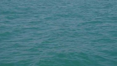 Turkuaz su, kıyı bölgesinde berrak mavi bir gökyüzünün altında yavaşça hareket eder..