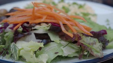 Açık hava yemeklerinde yeşillikli ve havuçlu renkli salata..