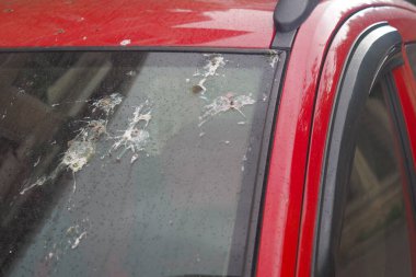 Kırmızı bir arabanın şehrin ön camında sayısız kuş pisliği vardır..