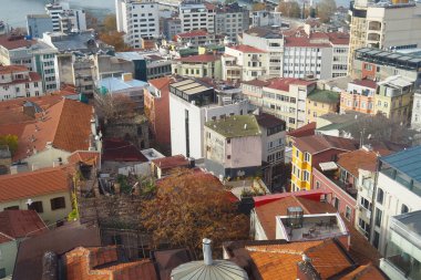Çeşitli mimarisi ve çatıları olan kalabalık bir şehir manzarası..