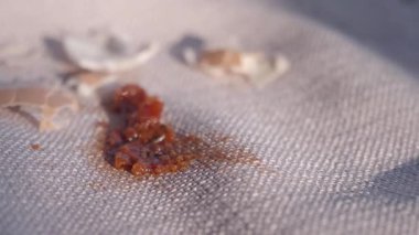 Domates sosu masa örtüsüne dökülmüş. ,