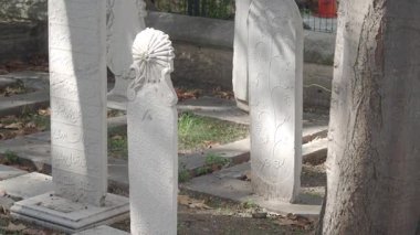 Huzurlu bir mezarlıktaki eski mezar taşlarında karmaşık tasarımlar keşfet..