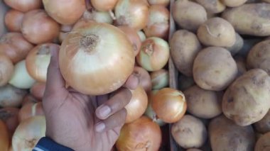 Bir el taze sebzeler arasında büyük bir soğana uzanır..