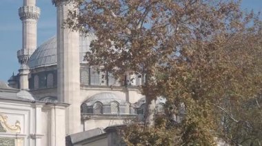 Sonbahar yeşillikleri ve mavi gökyüzüyle çevrili bir caminin çarpıcı mimarisi..