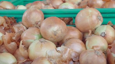 Taze hasat edilmiş soğanlar bir market tezgahında kasalarda sergileniyor..