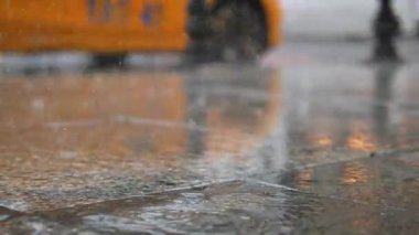 Asfalt sokaklara sürekli yağmur yağıyor. Şehir ışıklarının altında birikintiler oluşuyor..