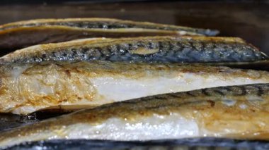 Lezzetli bir yemek yapmak için taze uskumru filetosu pişiriyorum..