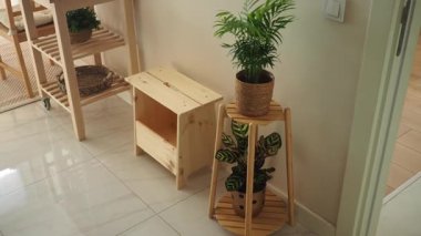 Şık bitkilerin sergilendiği güzel bir iç mekan keşfedin..