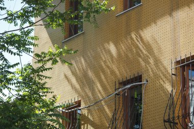 Güneş ışığı, ağaçlarla çevrili bir binanın ön cephesine gölge düşürür..