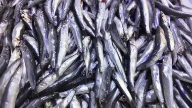 Hareketli bir deniz ürünleri pazarında sergilenen taze ançüezleri keşfedin..