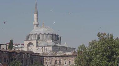 Ağaçlar ve yukarıda süzülen kuşlarla çevrili muhteşem bir cami manzarası..