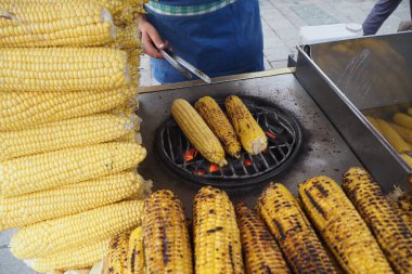 Bir satıcı sıcak ızgarada taze mısır pişirirken etrafı çiğ koçanlarla çevrili..
