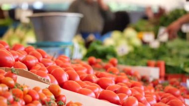 Canlı bir çiftçi pazarında renkli domatesler düzenlenir..