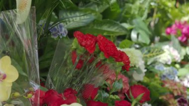 Yeşillik ve renklerle çevrili kırmızı karanfillerin yakın çekim görüntüsü.