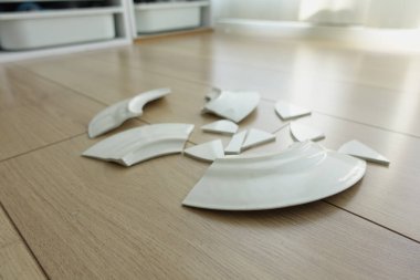 Beyaz seramik tabağın kırık parçaları içeride, ahşap bir zeminde yatıyor..