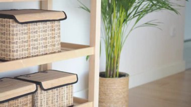 Dokuma sepetleri ve kapalı alandaki bitkilerle ipuçları keşfedin..