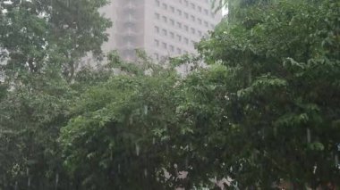 Bardaktan boşanırcasına yağmur yağar, şehrin manzarası ve ağaçları sırılsıklam olur..