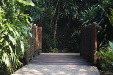 Tahta bir köprü, sakin bir bahçedeki canlı yeşilliklerden geçer..