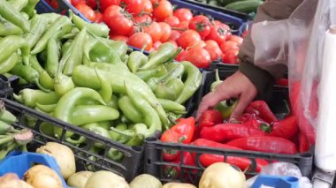 Taze sebze ve meyvelerle dolu canlı bir pazarı keşfedin..