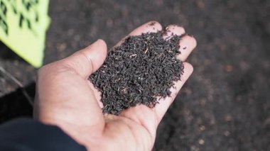 Elinde yaprak çayı var..