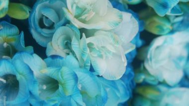 Mavi çiçeklerin çarpıcı düzenini keşfedin zarafeti gösterin.