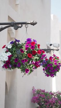 Canlı çiçek sepetleri bir duvarı süslüyor ve sokaklara cazibe katıyor..