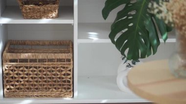 Bitkileri ve doğal dokuları kullanarak alanınızı geliştirmenin yaratıcı yollarını keşfedin..