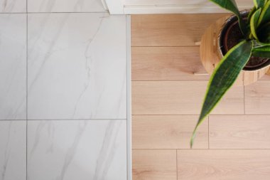 Ayırt edici döşeme geçişi stantta bir bitki sergiliyor.