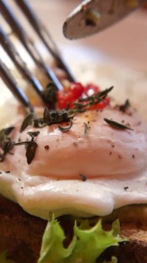 Taze otlar ve baharatlarla süslenmiş lezzetli haşlanmış yumurta..